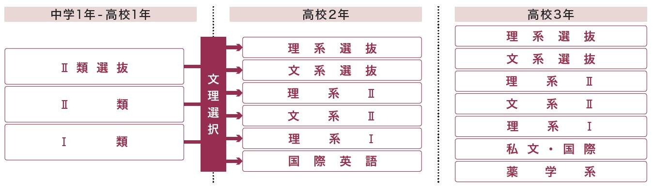 帝塚山学院泉ヶ丘中学校 2025年度受験用 (中学校別入試対策シリーズ 1069) 帝塚山学院泉ヶ丘中学校 2025年度受験用 (中学校別入試対策